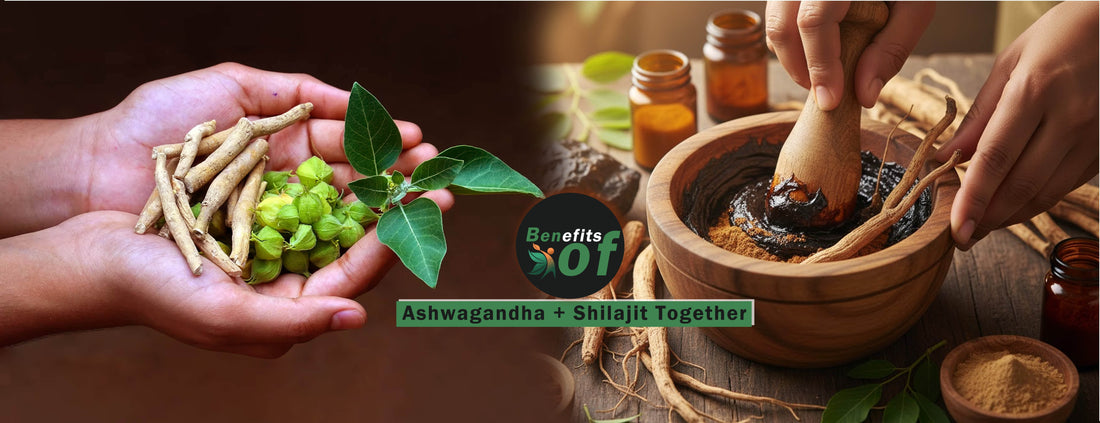 Benefits of Ashwagandha and Shilajit Together | Vedapulse - Vedapulse