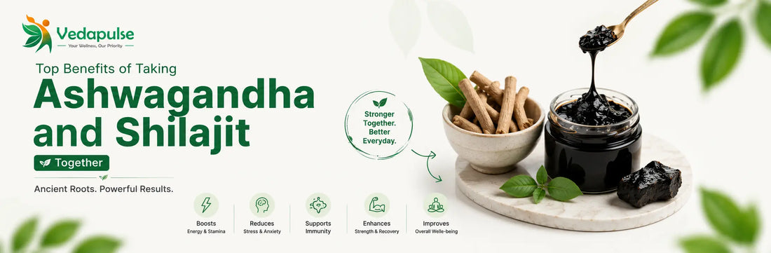 Illustration highlighting the benefits of taking Ashwagandha and Shilajit together for improved energy, stamina, immunity, stress relief, strength, recovery, and overall well-being.