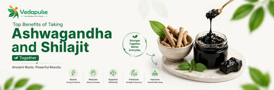 Illustration highlighting the benefits of taking Ashwagandha and Shilajit together for improved energy, stamina, immunity, stress relief, strength, recovery, and overall well-being.