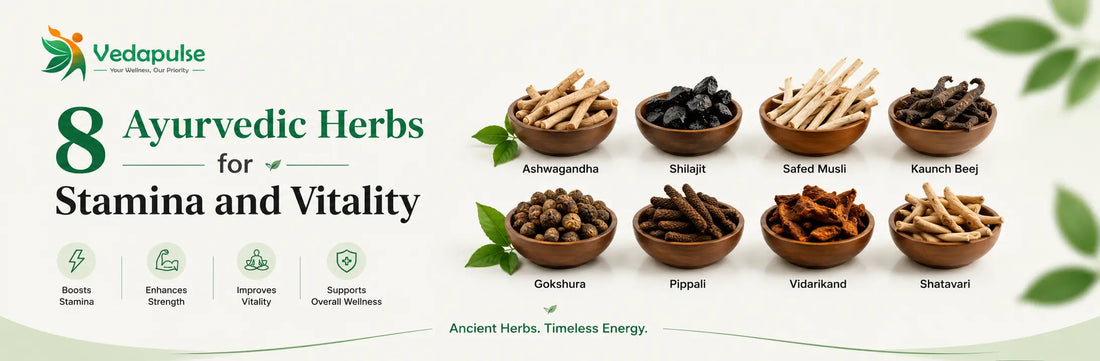 Infographic featuring eight Ayurvedic herbs including Ashwagandha, Shilajit, Safed Musli, Gokshura, Pippali, Vidarikand, Shatavari, and Kaunch Beej to support stamina, vitality, strength, and overall wellness.