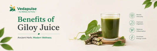 Glass of Giloy juice with Giloy stems and leaves highlighting its potential health benefits