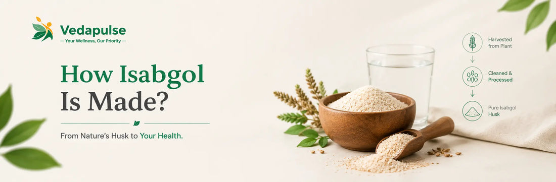 How Isabgol is made from plant husk through harvesting, cleaning, and processing