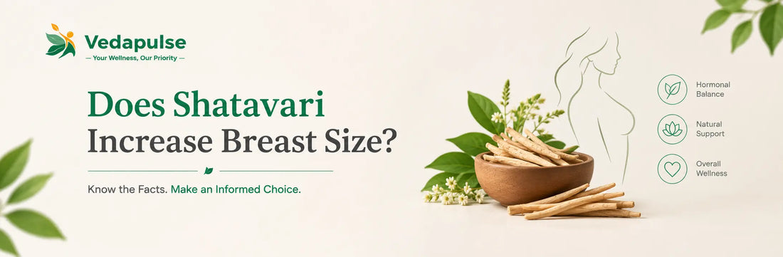 Does shatavari increase breast size? No. There's no clinical evidence that shatavari, or any herbal supplement, enlarges breast tissue in adult women.