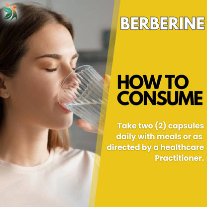 Berberine 1000mg Herbal Capsules – Blood Sugar & Heart Support Supplement - Vedapulse