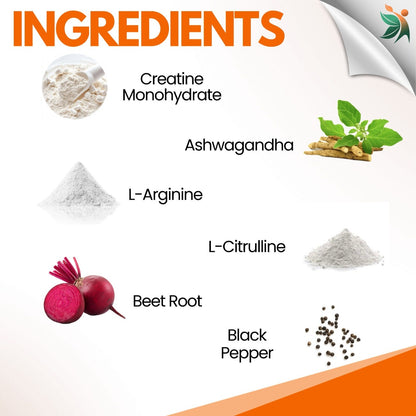 Creatine_Monohydrate_Capsule_Ingredients