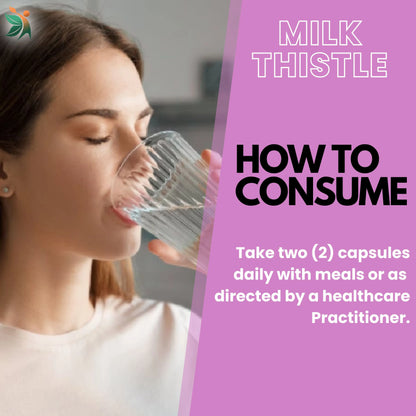 Milk Thistle Liver Detox 900mg capsules | Vedapulse - Vedapulse