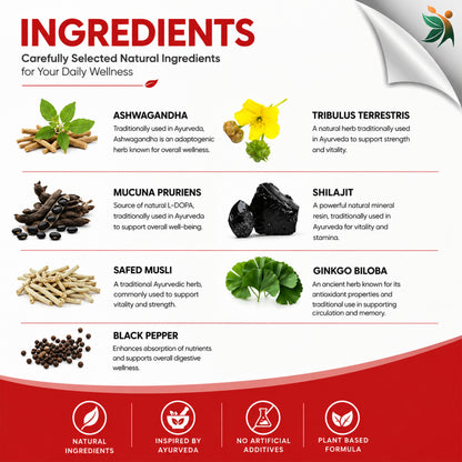 Test3xPowerIngredients