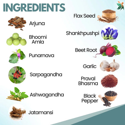 VedaBP 1000mg 90 Capsules | Vedapulse Blood Pressure Support - Vedapulse