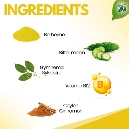 Berberine 1000mg Herbal Capsules – Blood Sugar & Heart Support Supplement - Vedapulse