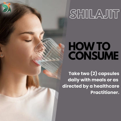 Shilajit 1100Mg Capsules | Vedapulse - Vedapulse