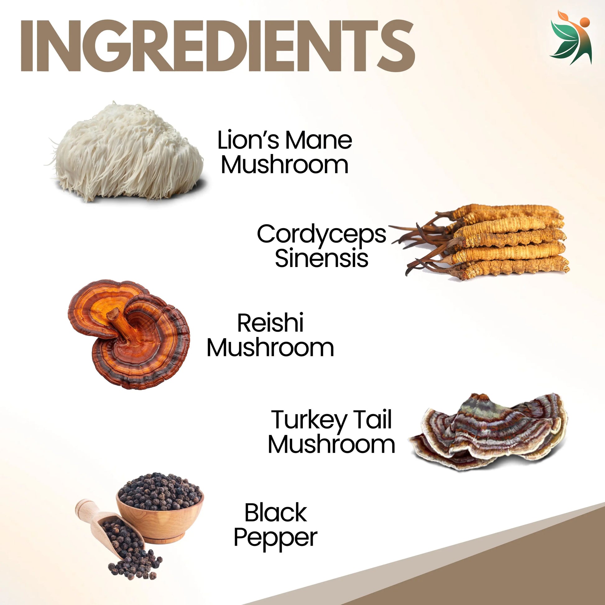 Lion's Mane Mushroom 1200mg Capsules | Vedapulse - Vedapulse